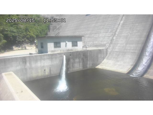 東郷ダム１（下流）2025/08/15 14:00:00