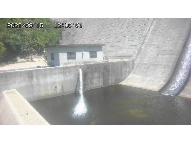 東郷ダム１（下流）2025/08/15 14:00:00