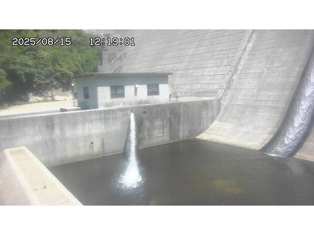 東郷ダム１（下流）2025/08/15 14:00:00