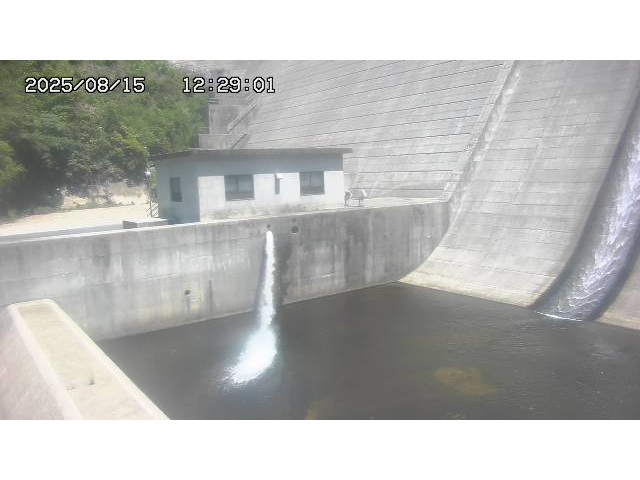 東郷ダム１（下流）2025/08/15 14:00:00