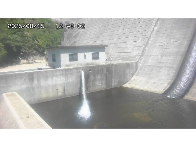東郷ダム１（下流）2025/08/15 14:00:00