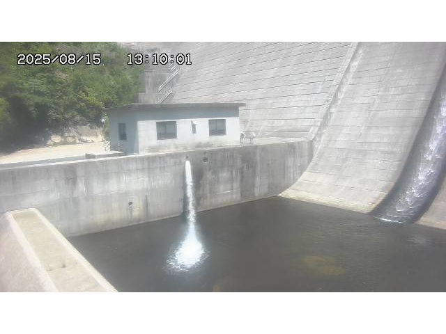 東郷ダム１（下流）2025/08/15 14:00:00