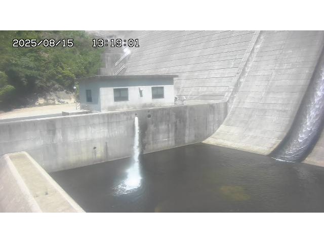 東郷ダム１（下流）2025/08/15 14:00:00