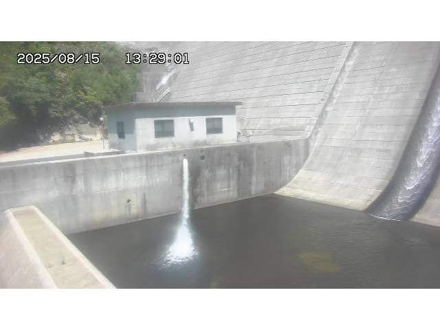 東郷ダム１（下流）2025/08/15 14:00:00