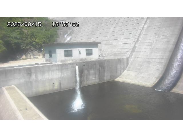 東郷ダム１（下流）2025/08/15 14:00:00