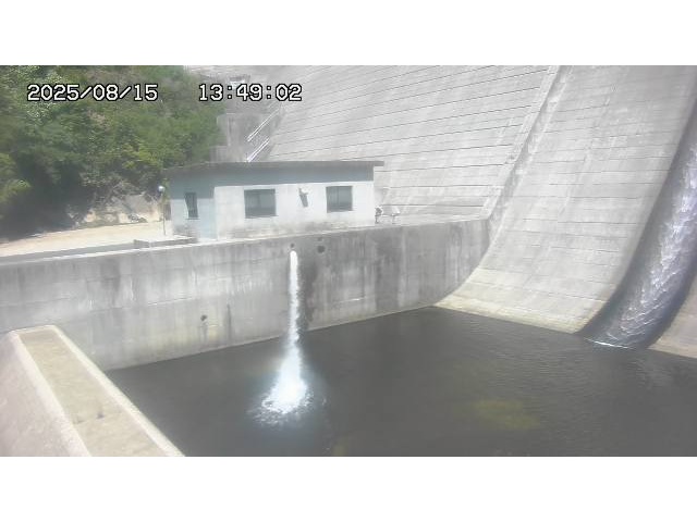 東郷ダム１（下流）2025/08/15 14:00:00