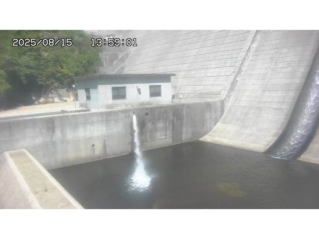 東郷ダム１（下流）2025/08/15 14:00:00