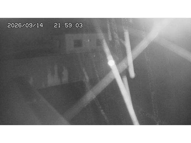 東郷ダム１（下流）2026/09/15 14:40:00