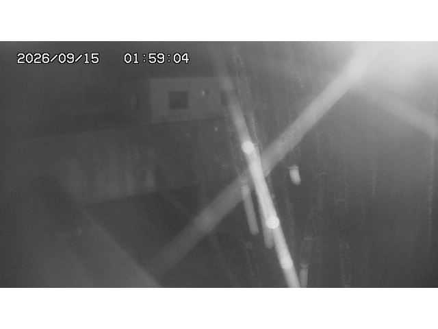 東郷ダム１（下流）2026/09/15 14:40:00