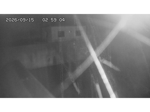 東郷ダム１（下流）2026/09/15 14:40:00