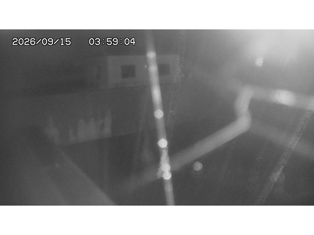 東郷ダム１（下流）2026/09/15 14:40:00