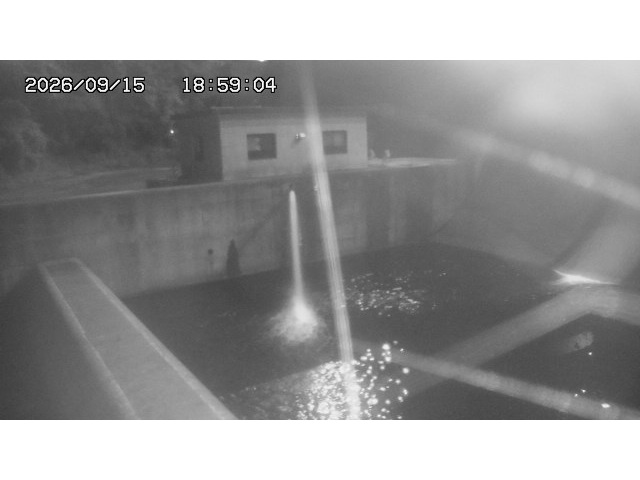 東郷ダム１（下流）2026/09/16 17:20:00
