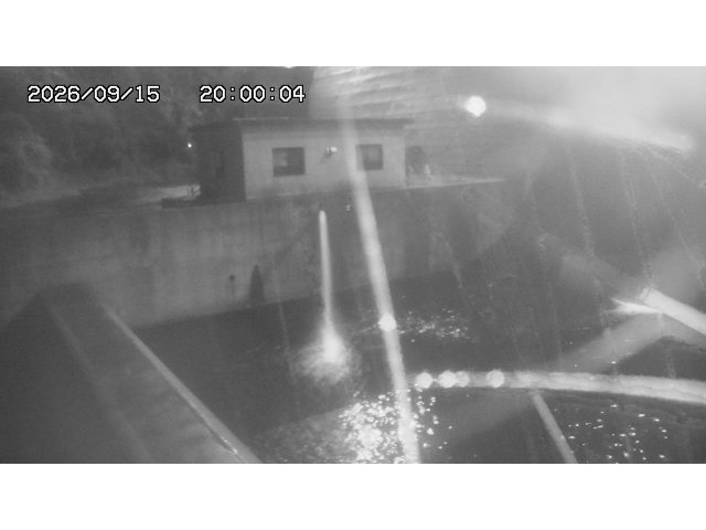 東郷ダム１（下流）2026/09/16 17:20:00