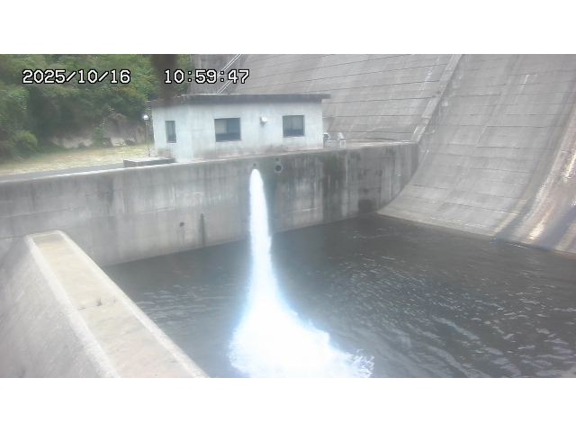 東郷ダム１（下流）2025/10/17 6:00:00