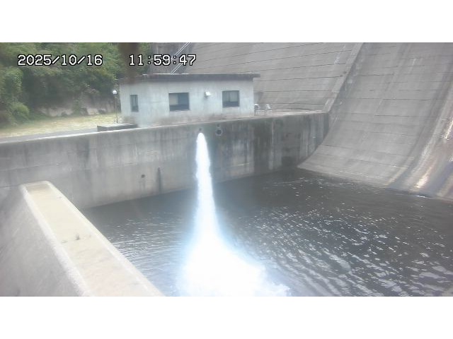 東郷ダム１（下流）2025/10/17 6:00:00