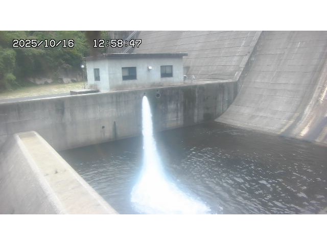 東郷ダム１（下流）2025/10/17 6:00:00