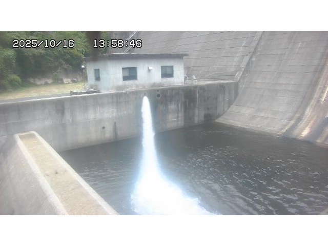 東郷ダム１（下流）2025/10/17 6:00:00