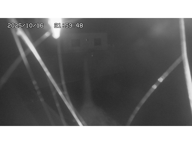 東郷ダム１（下流）2025/10/17 6:00:00
