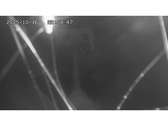 東郷ダム１（下流）2025/10/17 6:00:00