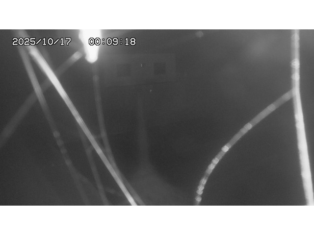 東郷ダム１（下流）2025/10/17 6:00:00