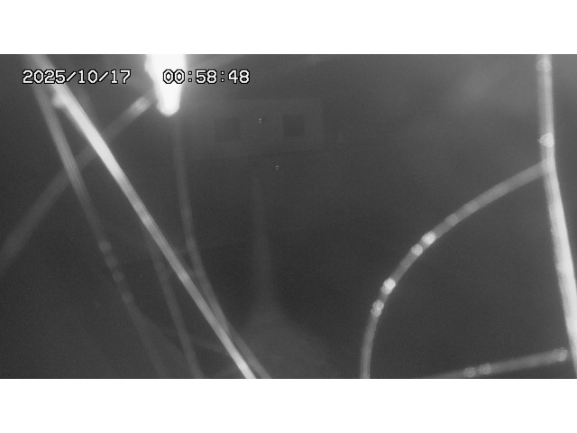 東郷ダム１（下流）2025/10/17 6:00:00
