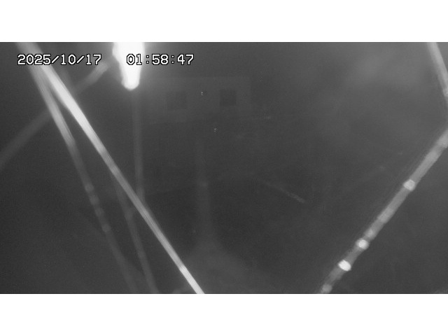 東郷ダム１（下流）2025/10/17 6:00:00