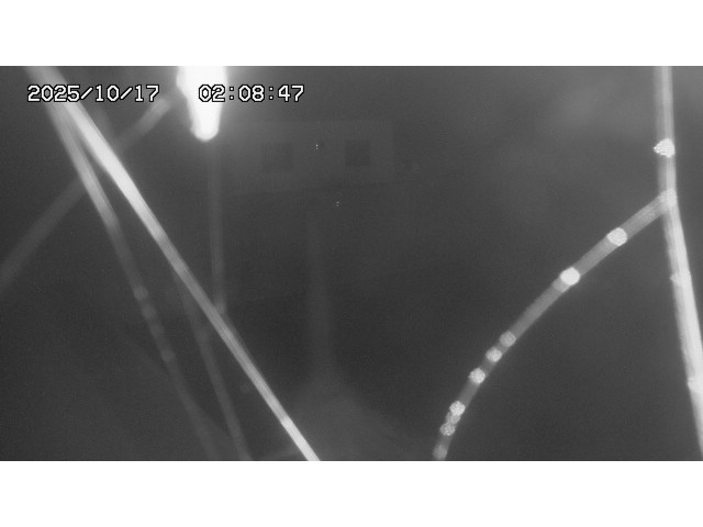 東郷ダム１（下流）2025/10/17 6:00:00