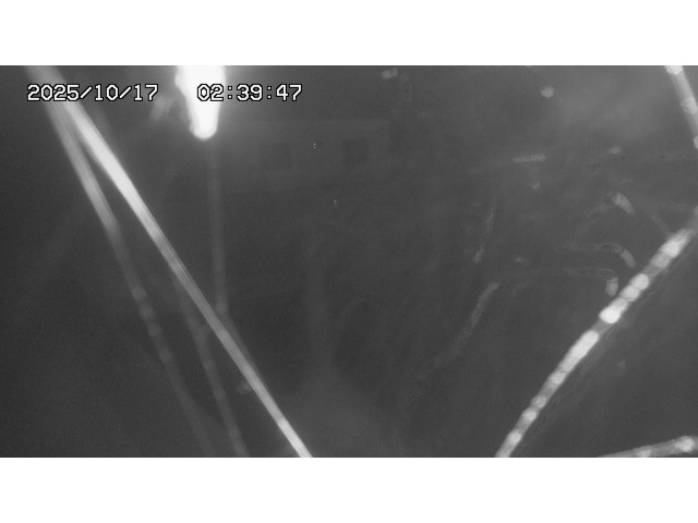 東郷ダム１（下流）2025/10/17 6:00:00