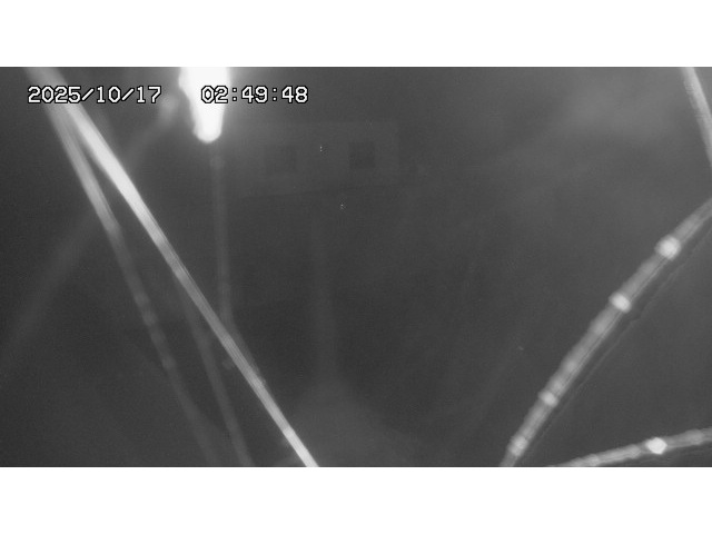 東郷ダム１（下流）2025/10/17 6:00:00