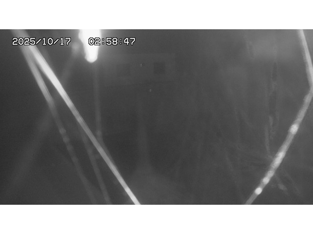 東郷ダム１（下流）2025/10/17 6:00:00