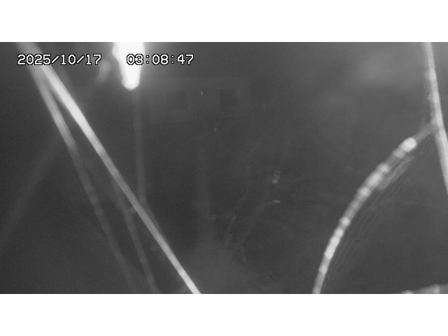 東郷ダム１（下流）2025/10/17 6:00:00