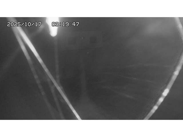 東郷ダム１（下流）2025/10/17 6:00:00