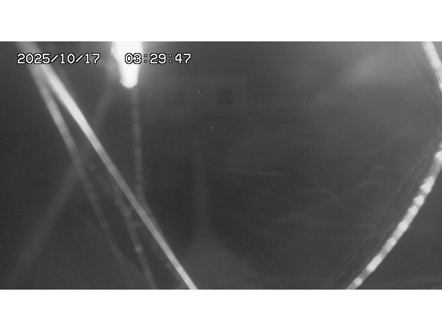 東郷ダム１（下流）2025/10/17 6:00:00