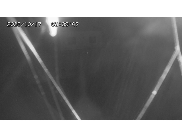 東郷ダム１（下流）2025/10/17 6:00:00