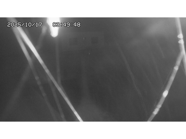 東郷ダム１（下流）2025/10/17 6:00:00
