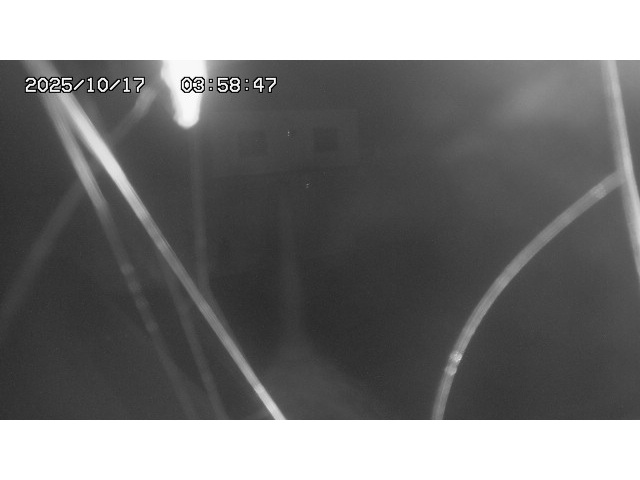 東郷ダム１（下流）2025/10/17 6:00:00