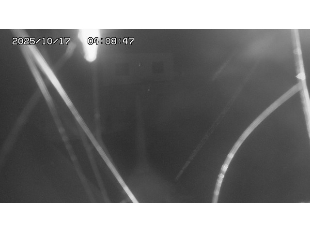 東郷ダム１（下流）2025/10/17 6:00:00