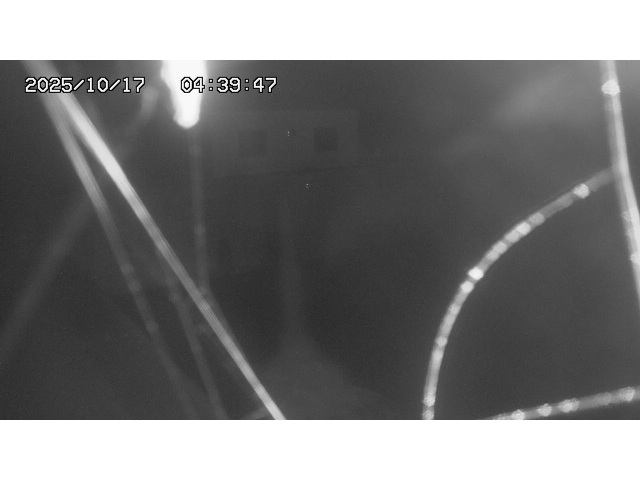 東郷ダム１（下流）2025/10/17 6:00:00
