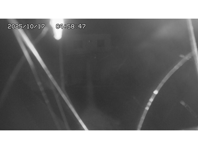 東郷ダム１（下流）2025/10/17 6:00:00