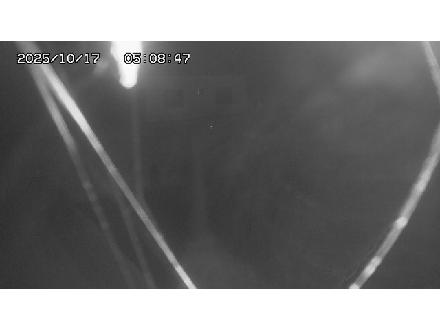 東郷ダム１（下流）2025/10/17 6:00:00