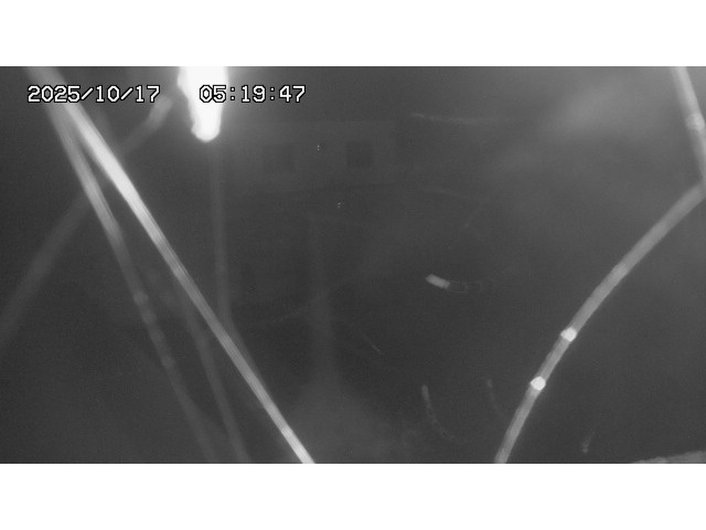 東郷ダム１（下流）2025/10/17 6:00:00