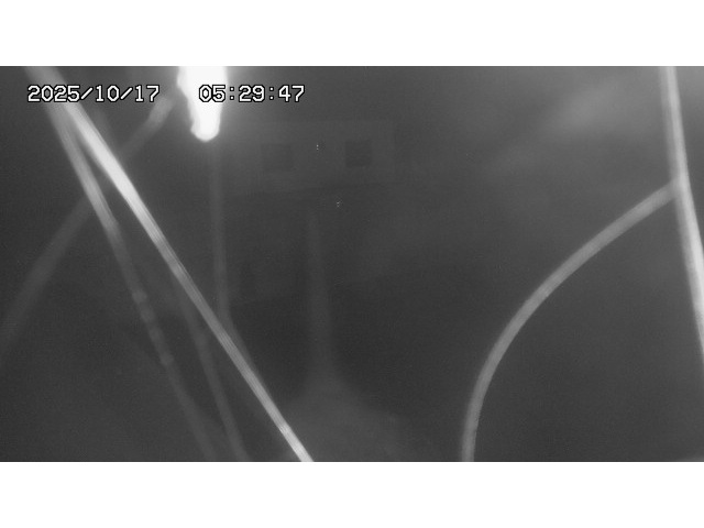 東郷ダム１（下流）2025/10/17 6:00:00