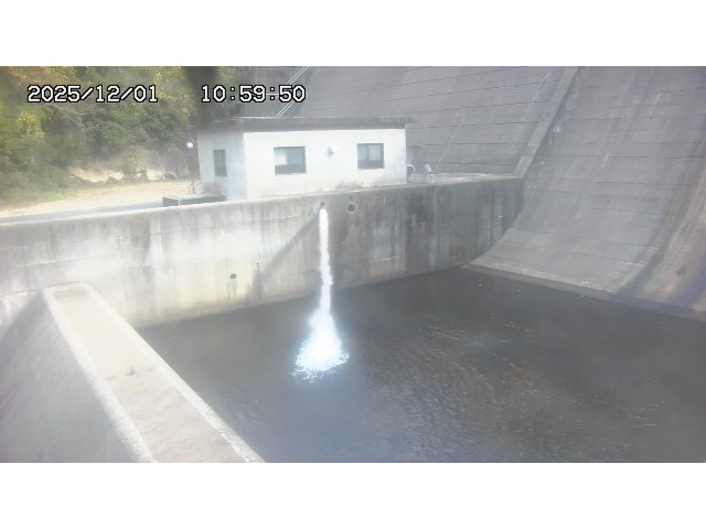 東郷ダム１（下流）2025/12/02 11:30:00