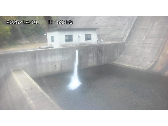 東郷ダム１（下流）2025/12/02 11:30:00