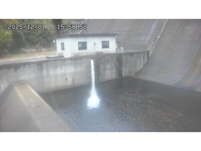 東郷ダム１（下流）2025/12/02 11:30:00