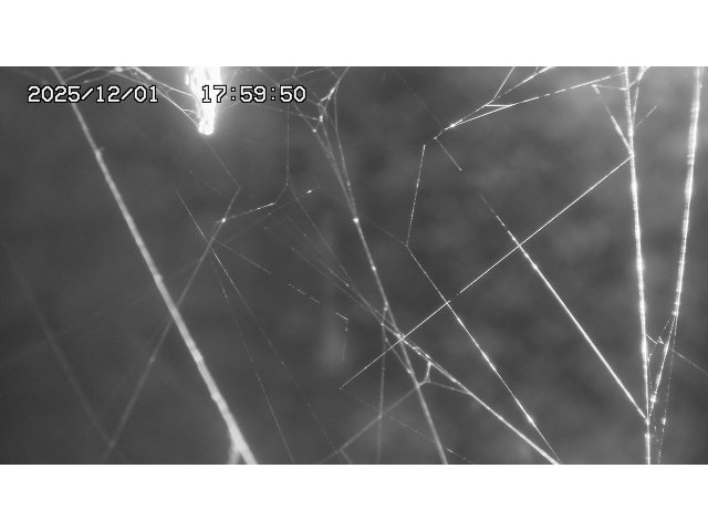 東郷ダム１（下流）2025/12/02 11:30:00