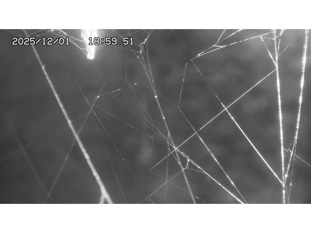 東郷ダム１（下流）2025/12/02 11:30:00