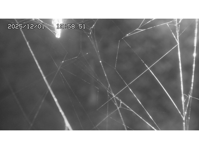 東郷ダム１（下流）2025/12/02 11:30:00