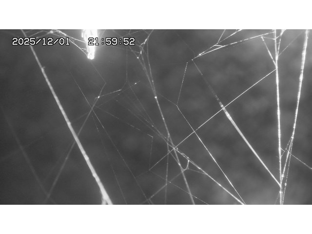 東郷ダム１（下流）2025/12/02 11:30:00