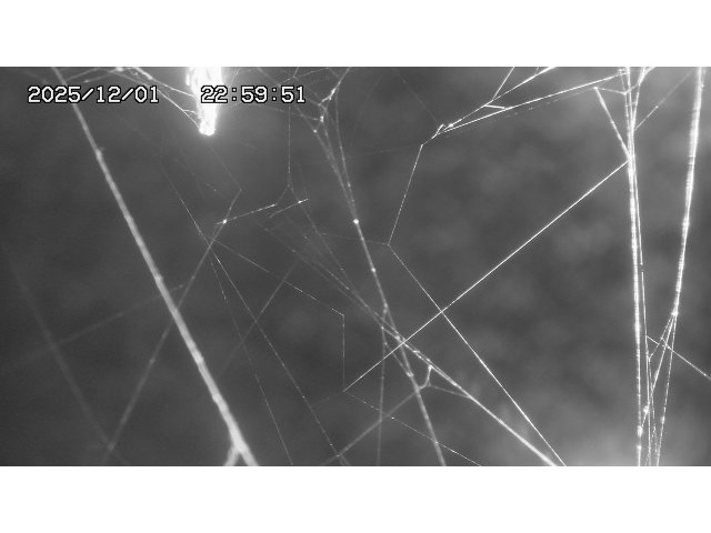 東郷ダム１（下流）2025/12/02 11:30:00